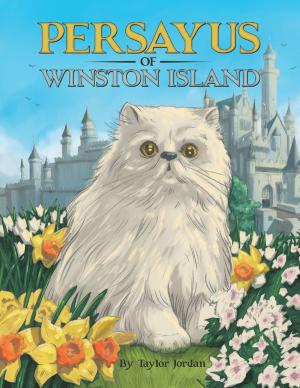 Cover of the book Persayus of Winston Island by Mark Mosier