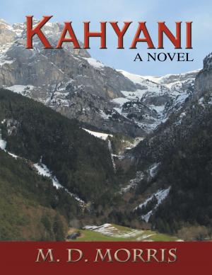 Cover of the book Kahyani: A Novel by David Burnett