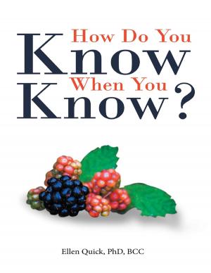 Cover of the book How Do You Know When You Know? by W. Boone Hedgepeth