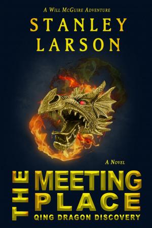 Cover of the book The Meeting Place by John Dickson