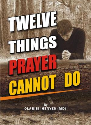 Cover of the book Twelve Things Prayer Cannot Do by Shane Kelly