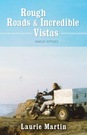 Cover of the book Rough Roads and Incredible Vistas by Magda Jozsa