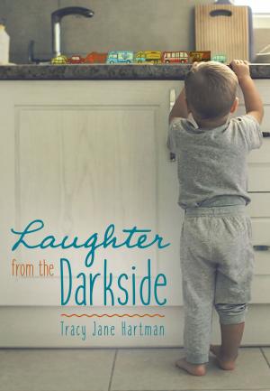 bigCover of the book Laughter from the Darkside by 