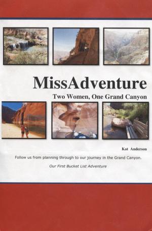 Cover of the book Missadventure by Cynthia Pfeiffer, Katherine Camposeo