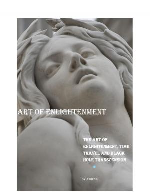Cover of the book Art of Enlightenment by Greg Woods, Dr Liz Barnes