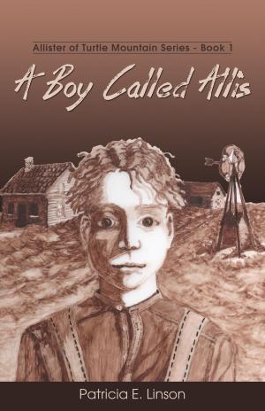 Cover of the book A Boy Called Allis by E. Y. Rykes