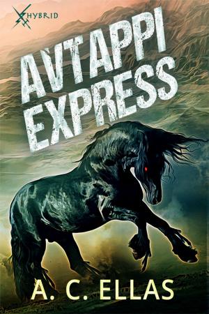 Cover of the book Avtappi Express by Keiko Alvarez