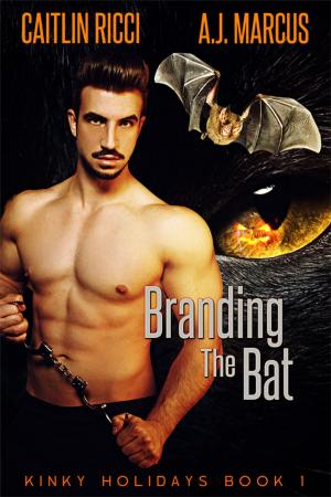 Book cover of Branding the Bat