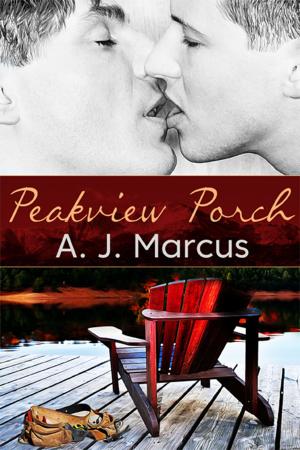 Cover of the book Peakview Porch by Adriana Kraft