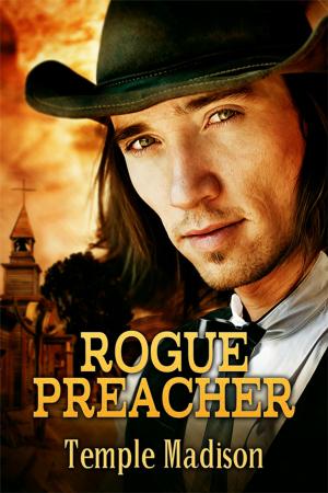 Cover of the book Rogue Preacher by D. W. Adler