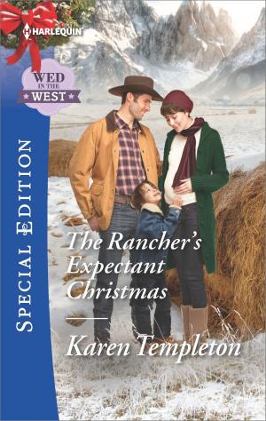 Cover of the book The Rancher's Expectant Christmas by Molly Gambiza