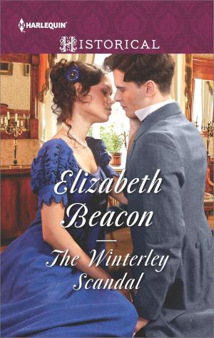 Book cover of The Winterley Scandal