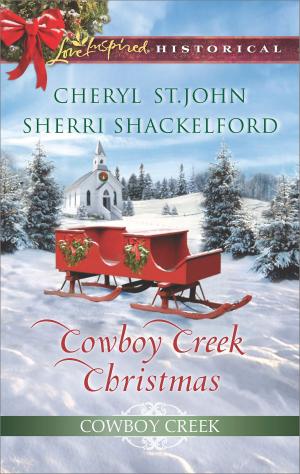 Book cover of Cowboy Creek Christmas
