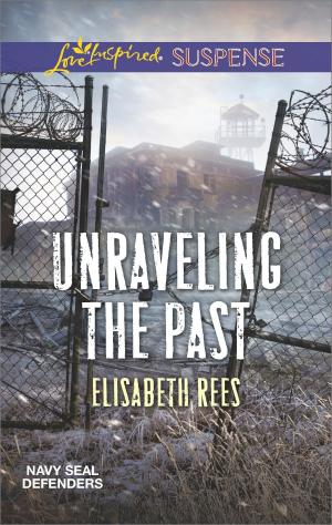 Cover of the book Unraveling the Past by Cynthia Thomason