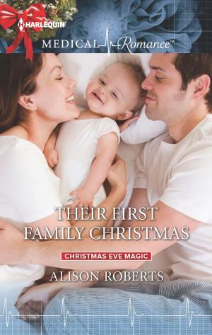 Cover of the book Their First Family Christmas by Hope Tiefenbrunner