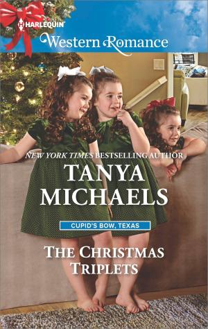 Cover of the book The Christmas Triplets by Alison Stone