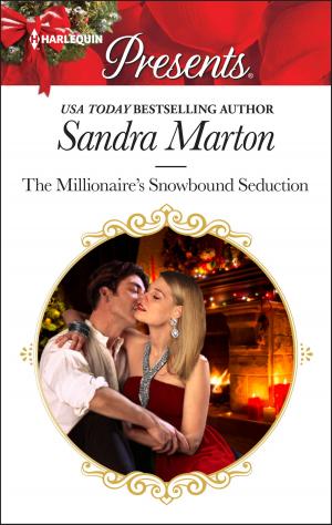 Cover of the book The Millionaire's Snowbound Seduction by Mallory Kane