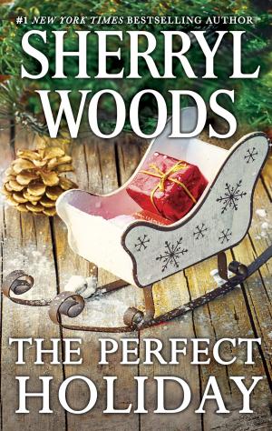 Cover of the book The Perfect Holiday by J.J. Moody
