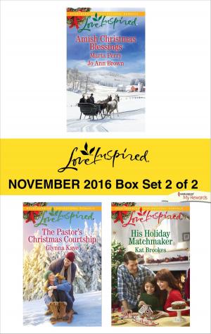 Book cover of Harlequin Love Inspired November 2016 - Box Set 2 of 2