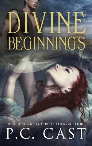 Book cover of Divine Beginnings