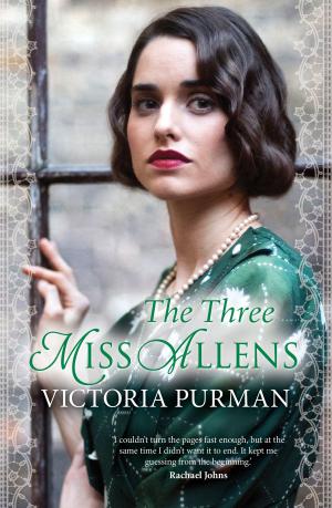 Cover of the book The Three Miss Allens by Peter Abrahams