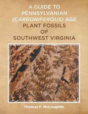 Cover of A Guide to Pennsylvanian Carboniferous-Age Plant Fossils of Southwest Virginia.