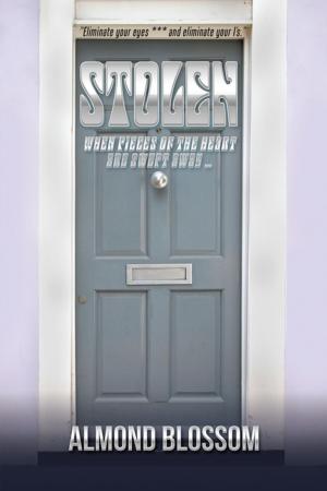 Cover of the book Stolen by Scott Marlowe