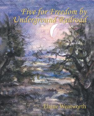 Cover of the book Five for Freedom by Underground Railroad by Warren J. Hahn