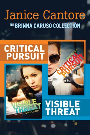 Cover of the book The Brinna Caruso Collection: Critical Pursuit / Visible Threat by Candace Calvert