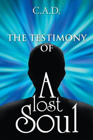 Cover of the book The Testimony of a Lost Soul by Robert A. Williams