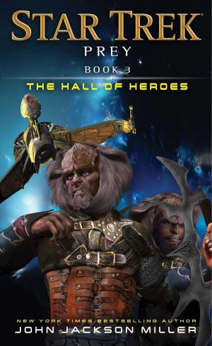 Cover of the book Prey: Book Three: The Hall of Heroes by Elizabeth Rosner