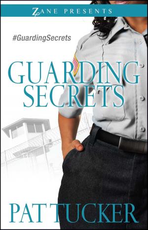 Cover of the book Guarding Secrets by C T Shackleford