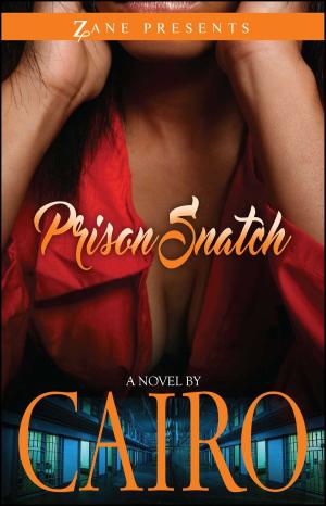 Book cover of Prison Snatch