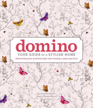 Cover of the book domino by Binnie Kirshenbaum
