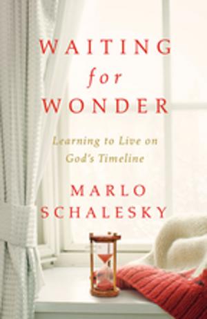 Cover of the book Waiting for Wonder by Reg Morais