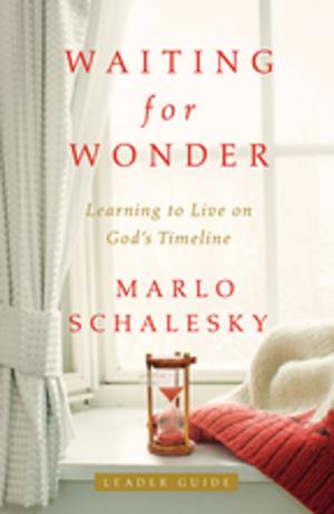 Cover of the book Waiting for Wonder Leader Guide by Tom Berlin