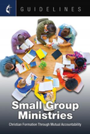 Cover of the book Guidelines Small Group Ministries by Cokesbury