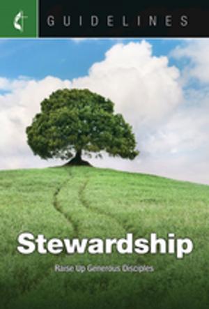Cover of the book Guidelines Stewardship by Christopher P. Momany, Sue Mink, Clara K. Welch