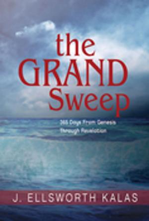 Cover of the book The Grand Sweep - Large Print by James D. Nogalski