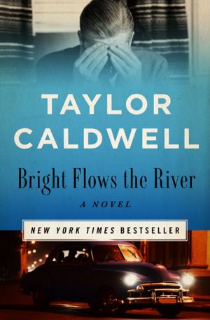 Cover of the book Bright Flows the River by Muriel Spark