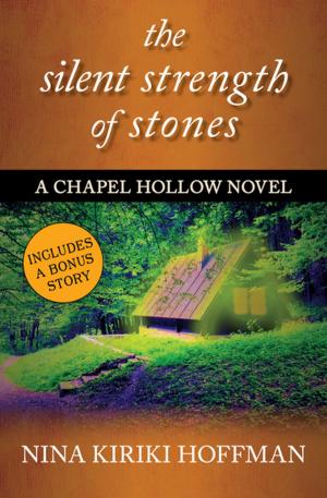 Cover of the book The Silent Strength of Stones by Barbara Hall
