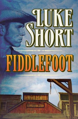Cover of the book Fiddlefoot by Brett Halliday