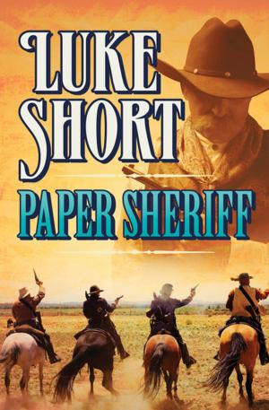 Cover of the book Paper Sheriff by M. E. Kerr, Mary James