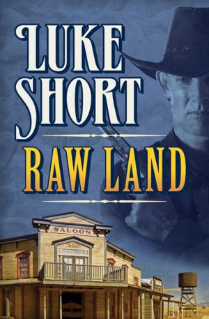 Cover of the book Raw Land by Oisín McGann