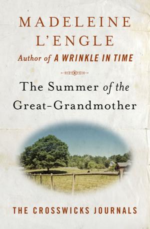 Cover of the book The Summer of the Great-Grandmother by Lawrence Durrell