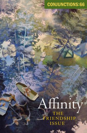 Cover of the book Affinity by Bradford Morrow, Peter Straub