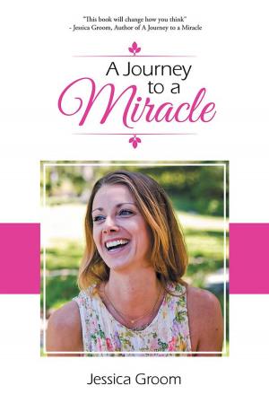 Cover of the book A Journey to a Miracle by Phoeve Hutchison