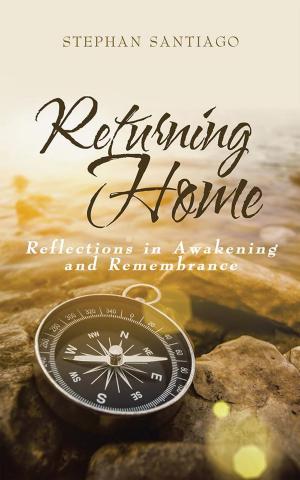 Cover of the book Returning Home by Hannah Orion