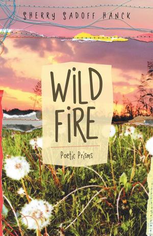 Cover of the book Wild Fire by Karen J. Vivenzio RMT