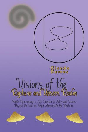 Cover of the book Visions of the Rapture and Unseen Realm by Wendy S. Messier
